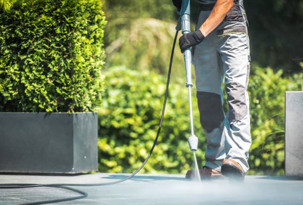 Best Graffiti Removal  in Wauchula, FL