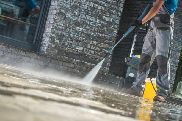 Best Building Exterior Washing  in Wauchula, FL